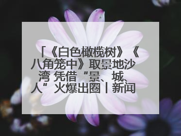 《白色橄榄树》《八角笼中》取景地沙湾 凭借“景、城、人”火爆出圈丨新闻发布最前线