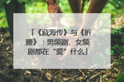 《藏海传》与《折腰》：男频剧、女频剧都在“爱”什么