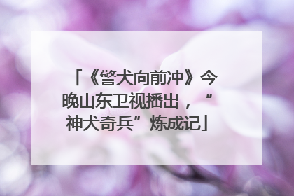《警犬向前冲》今晚山东卫视播出，“神犬奇兵”炼成记