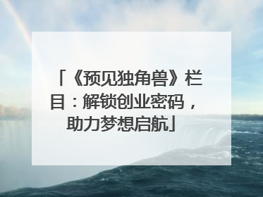 《预见独角兽》栏目：解锁创业密码，助力梦想启航