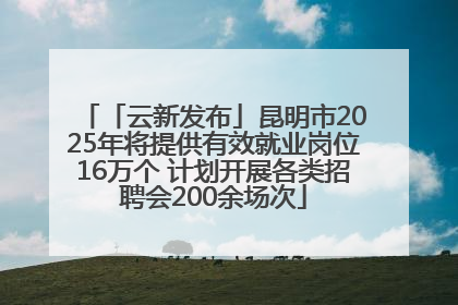 「云新发布」昆明市2025年将提供有效就业岗位16万个 计划开展各类招聘会200余场次