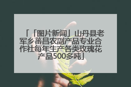 「图片新闻」山丹县老军乡蕃昌农副产品专业合作社每年生产各类玫瑰花产品500多吨