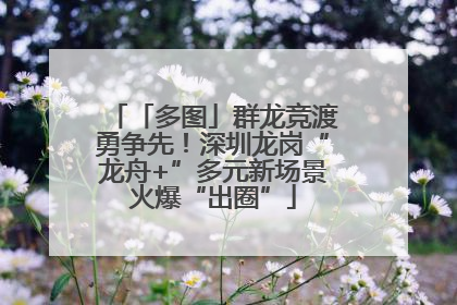 「多图」群龙竞渡勇争先！深圳龙岗“龙舟+”多元新场景火爆“出圈”