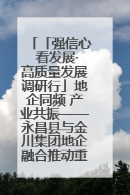 「强信心 看发展·高质量发展调研行」地企同频 产业共振——永昌县与金川集团地企融合推动重大项目建设