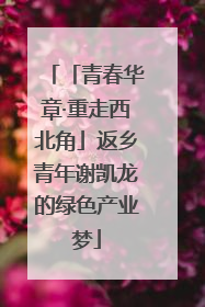 「青春华章·重走西北角」返乡青年谢凯龙的绿色产业梦