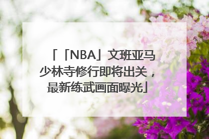 「NBA」文班亚马少林寺修行即将出关，最新练武画面曝光