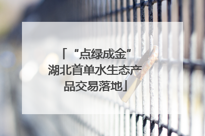 “点绿成金” 湖北首单水生态产品交易落地