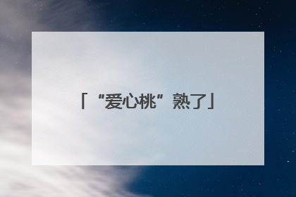 “爱心桃”熟了
