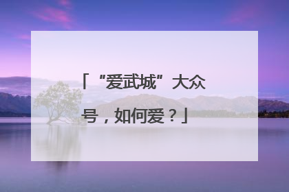 “爱武城”大众号，如何爱？