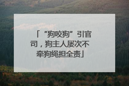 “狗咬狗”引官司，狗主人屡次不牵狗绳担全责
