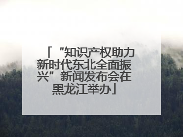 “知识产权助力新时代东北全面振兴”新闻发布会在黑龙江举办