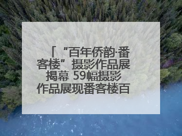 “百年侨韵·番客楼”摄影作品展揭幕 59幅摄影作品展现番客楼百年侨韵