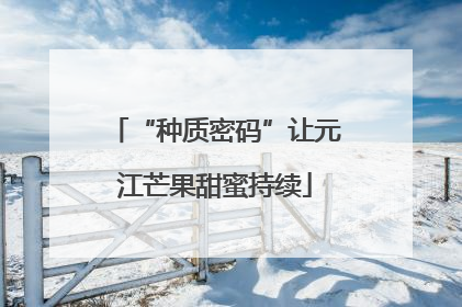 “种质密码”让元江芒果甜蜜持续