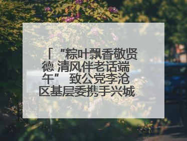 “粽叶飘香敬贤德 清风伴老话端午” 致公党李沧区基层委携手兴城路街道四流北路社区开展端午节主题活动