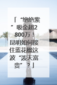 “绝绝紫”吸金超2800万！昆明如何接住蓝花楹这波“泼天富贵”？