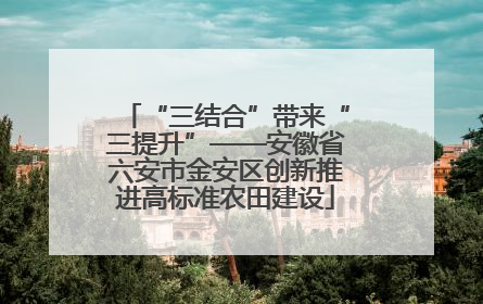 “三结合”带来“三提升”——安徽省六安市金安区创新推进高标准农田建设