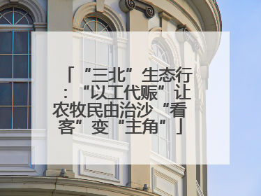 “三北”生态行：“以工代赈”让农牧民由治沙“看客”变“主角”