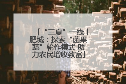 “三夏”一线丨肥城：探索“菌果蔬”轮作模式 助力农民增收致富