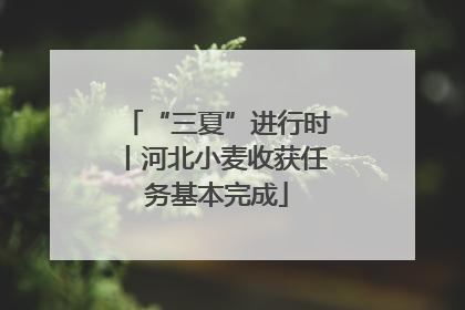 “三夏”进行时丨河北小麦收获任务基本完成