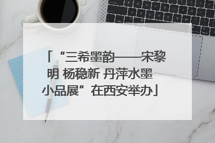 “三希墨韵——宋黎明 杨稳新 丹萍水墨小品展”在西安举办