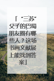 “三苏”父子的巴蜀朋友圈有哪些人？这场书画文献展上能找到答案