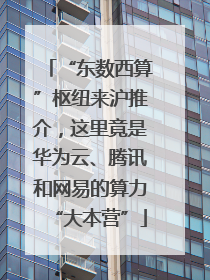 “东数西算”枢纽来沪推介，这里竟是华为云、腾讯和网易的算力“大本营”
