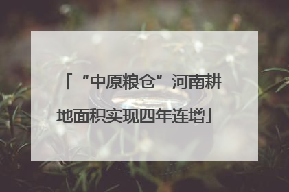 “中原粮仓”河南耕地面积实现四年连增