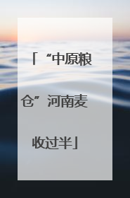 “中原粮仓”河南麦收过半