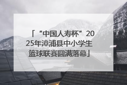 “中国人寿杯”2025年漳浦县中小学生篮球联赛圆满落幕