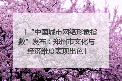 “中国城市网络形象指数”发布：郑州市文化与经济维度表现出色