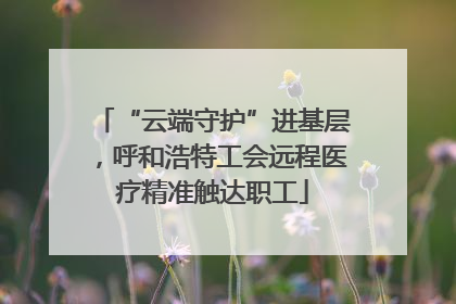 “云端守护”进基层，呼和浩特工会远程医疗精准触达职工