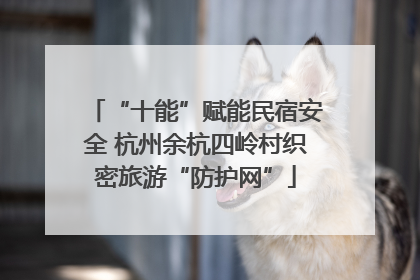 “十能”赋能民宿安全 杭州余杭四岭村织密旅游“防护网”
