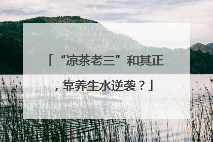 “凉茶老三”和其正，靠养生水逆袭？