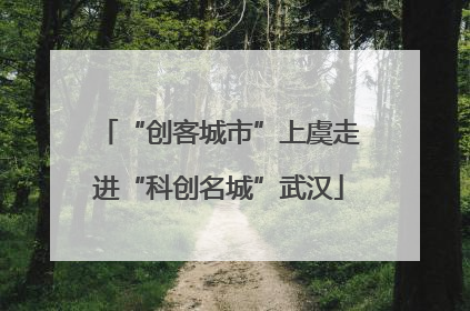 “创客城市”上虞走进“科创名城”武汉