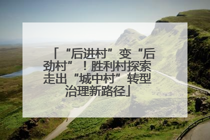 “后进村”变“后劲村”！胜利村探索走出“城中村”转型治理新路径