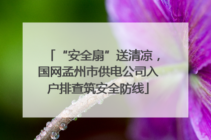 “安全扇”送清凉，国网孟州市供电公司入户排查筑安全防线