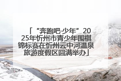 “奔跑吧·少年”2025年忻州市青少年围棋锦标赛在忻州云中河温泉旅游度假区圆满举办
