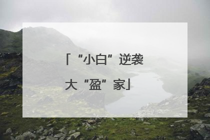 “小白”逆袭大“盈”家