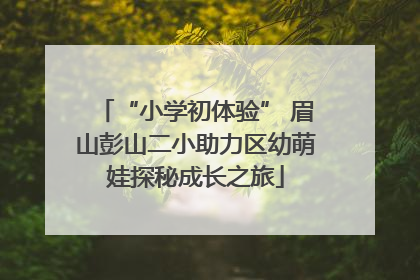 “小学初体验” 眉山彭山二小助力区幼萌娃探秘成长之旅