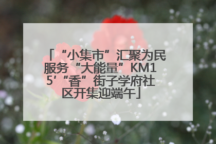 “小集市”汇聚为民服务“大能量”KM15′“香”街子学府社区开集迎端午