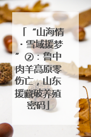 “山海情・雪域援梦”②：鲁中肉羊高原零伤亡，山东援藏破养殖密码