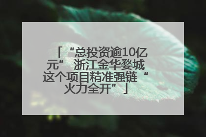 “总投资逾10亿元” 浙江金华婺城这个项目精准强链“火力全开”