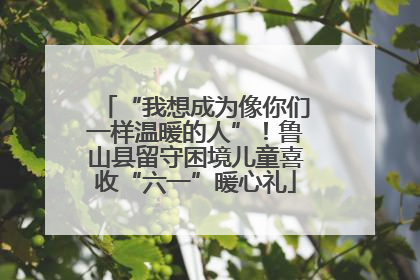 “我想成为像你们一样温暖的人”！鲁山县留守困境儿童喜收“六一”暖心礼