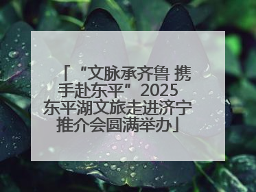 “文脉承齐鲁 携手赴东平”2025东平湖文旅走进济宁推介会圆满举办