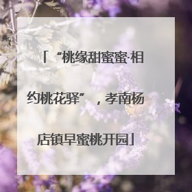 “桃缘甜蜜蜜·相约桃花驿”，孝南杨店镇早蜜桃开园