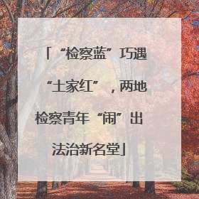 “检察蓝”巧遇“土家红”，两地检察青年“闹”出法治新名堂