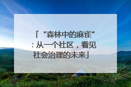 “森林中的麻雀”：从一个社区，看见社会治理的未来