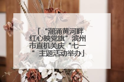 “潮涌黄河畔 红心映党旗”滨州市直机关庆“七一”主题活动举办