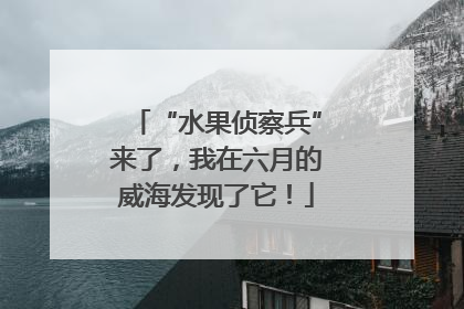 “水果侦察兵”来了，我在六月的威海发现了它！