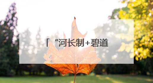 “河长制+碧道碧带+幸福河湖”，广州推进水环境提档升级